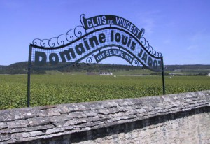 domaine-louis-jadot