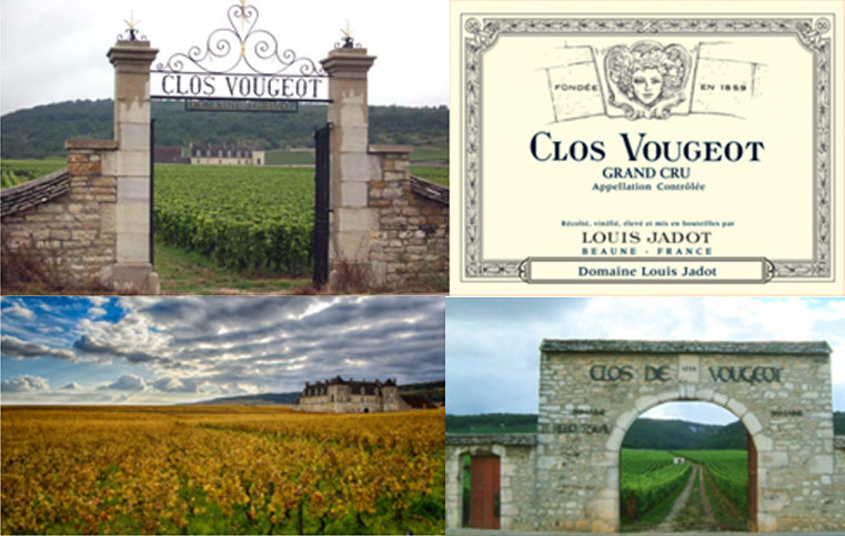 clos vougeot louis jadot 