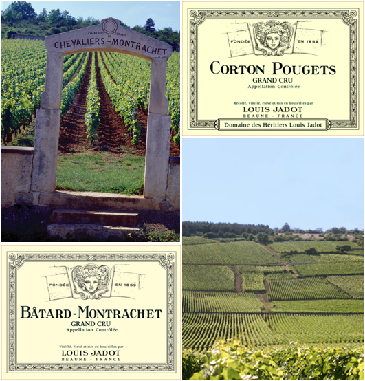 chassagne montrachet corton pouget